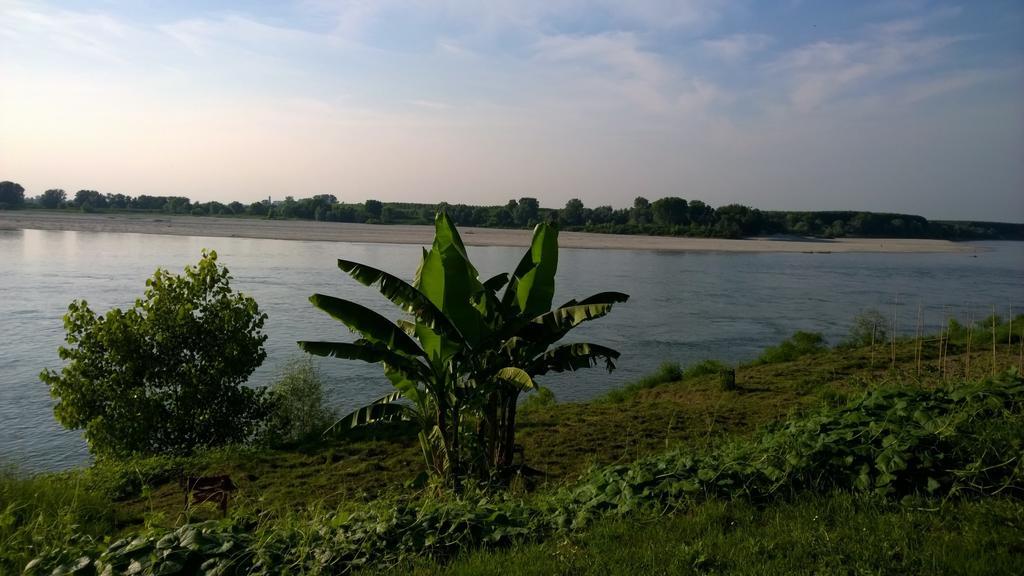Appartamenti I Liutai Cremona Exteriör bild